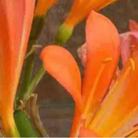 Natural Dream Apartment Blue Wifi Tarifa Exterior foto