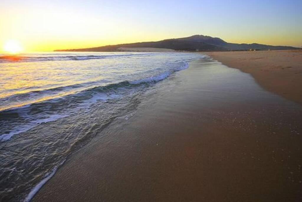 Natural Dream Blue Wifi Tarifa