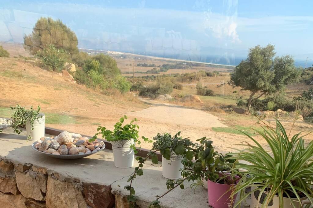 Appartement Natural Dream Blue Wifi *